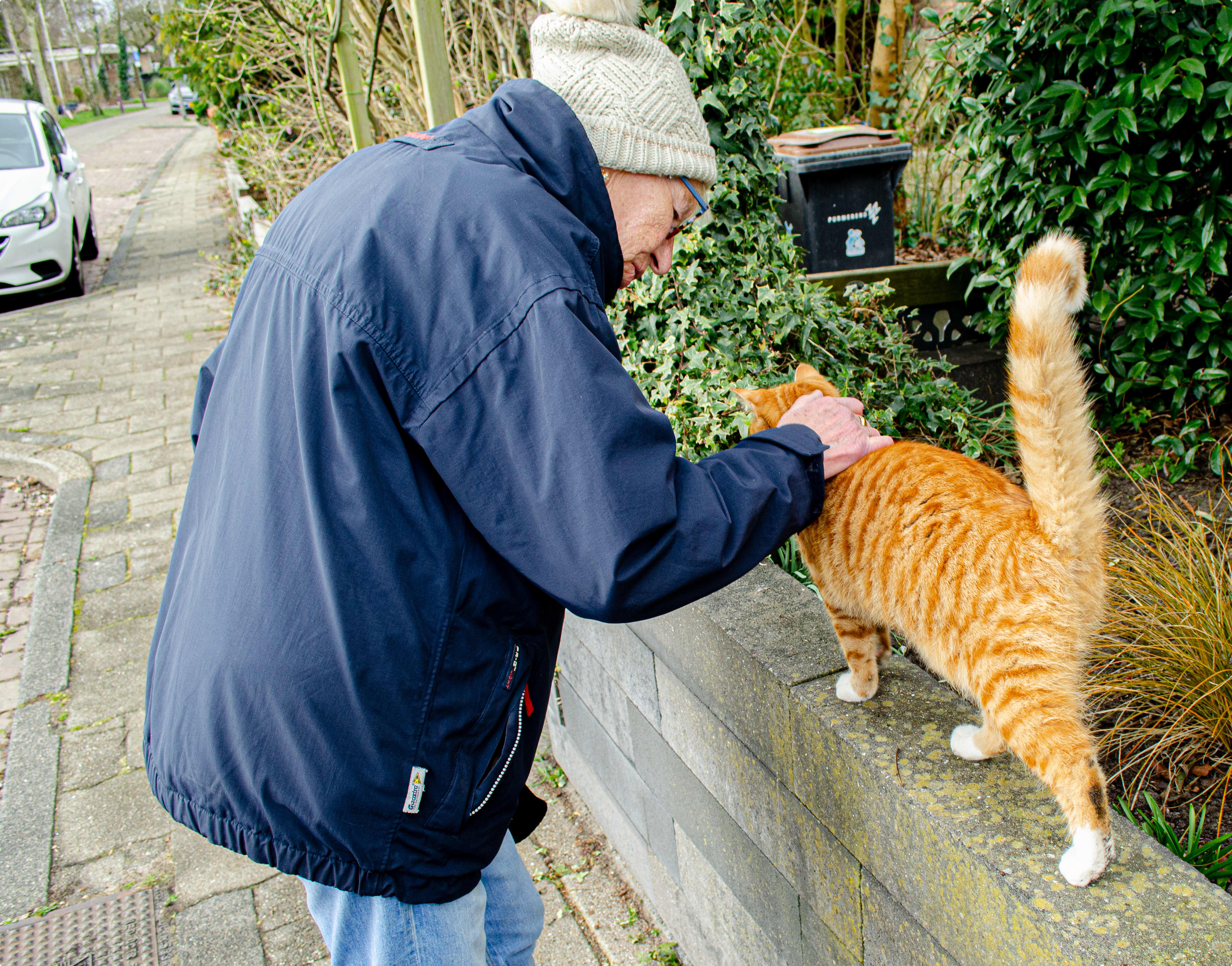 De rode kater in kwestie.