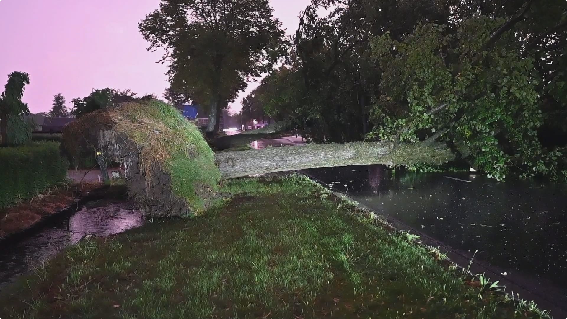 In Den Ham werden bomen uit de grond gerukt. Beeld: SPS Media