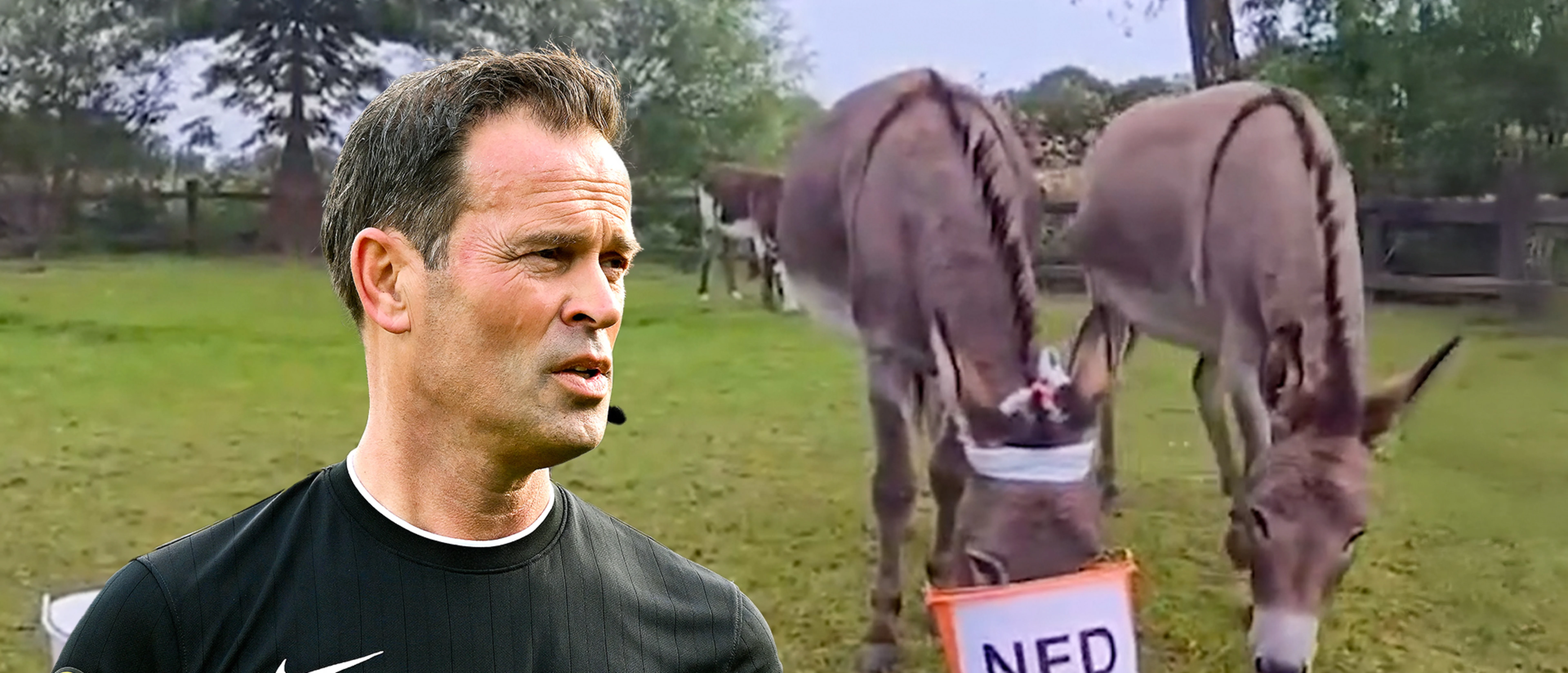 De ezels van Bas Nijhuis