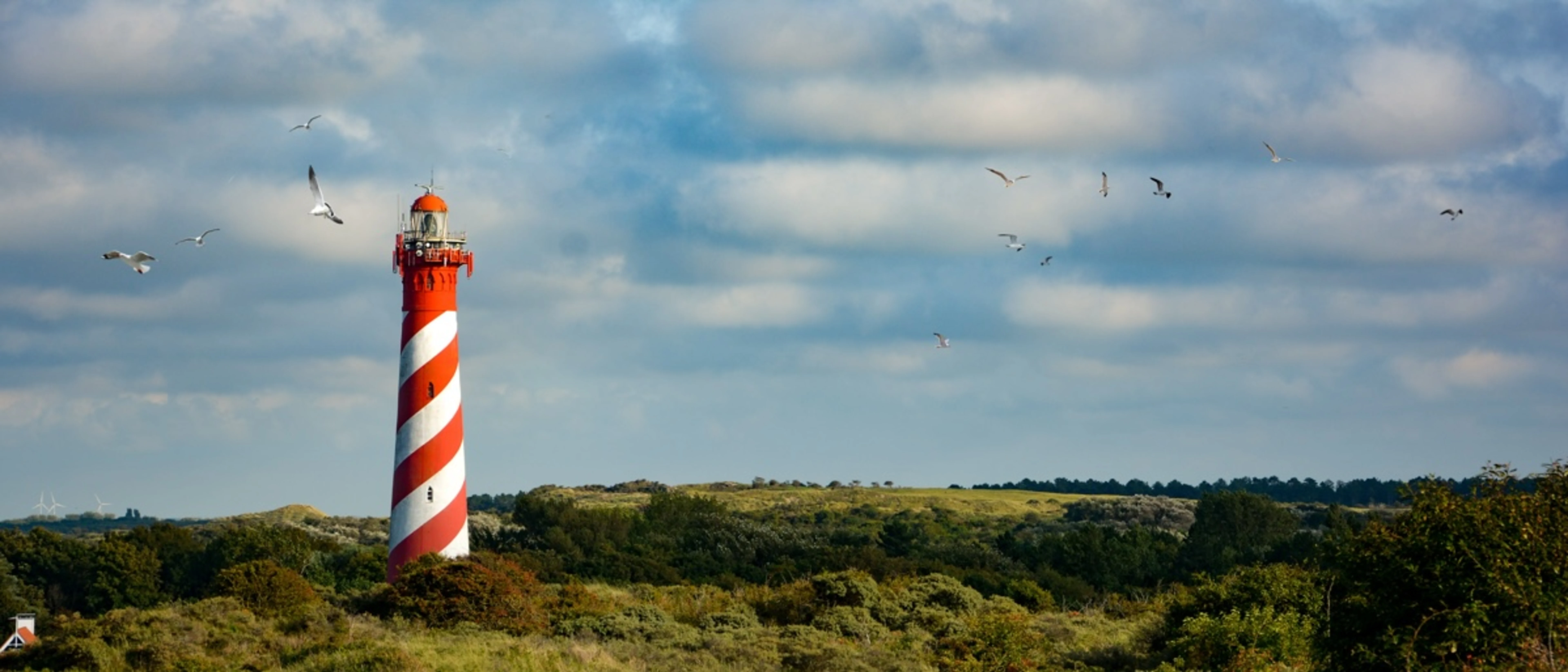 Regio Zeeland Nieuws