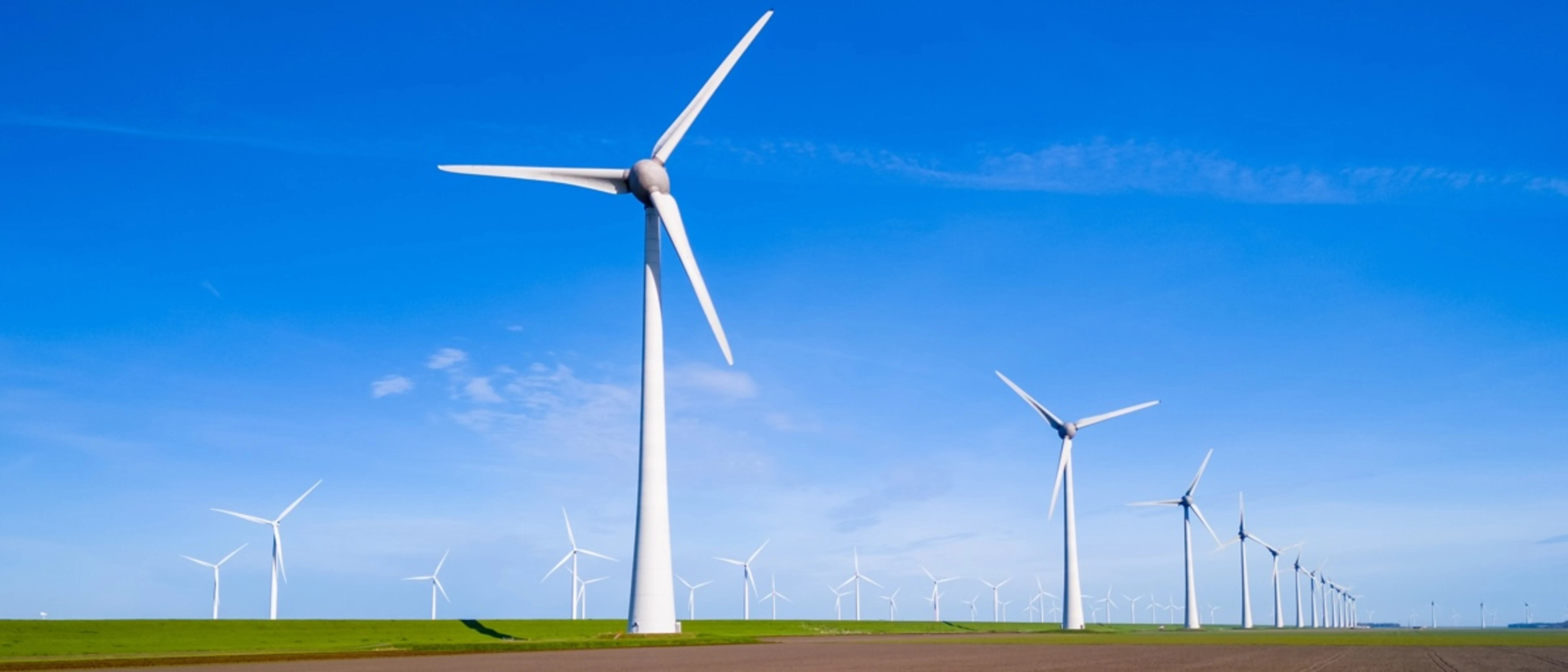 Regio Flevoland Nieuws