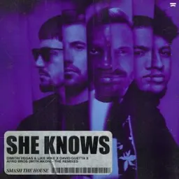 Dimitri Vegas & Like Mike, David Guetta, Afro Bros, Akon - She Knows