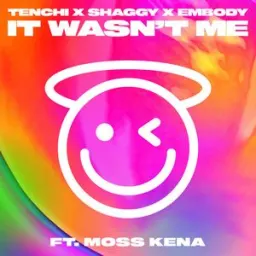 Tenchi, Shaggy, Embody, Moss Kena - It Wasn't Me
