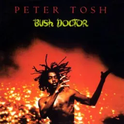 Peter Tosh - (You Gotta Walk) Don't Look Back - 2002 Remaster