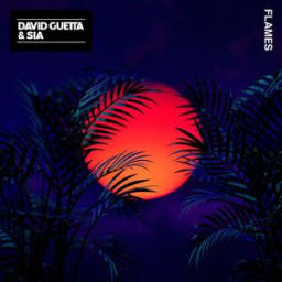 David Guetta, Sia - Flames