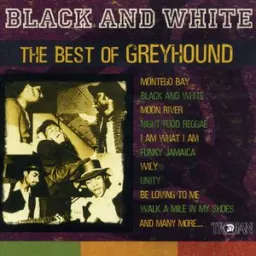 Greyhound - Black and White