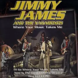 Jimmy James & The Vagabonds - I'll Go Where Your Music Takes Me