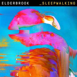 Elderbrook - Sleepwalking