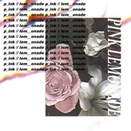 Pink Lemonade - Perfect