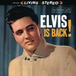 Elvis Presley - Such a Night