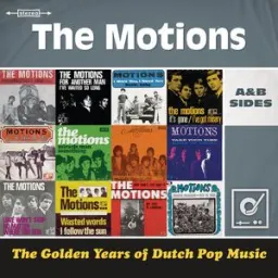 The Motions - Wasted Words