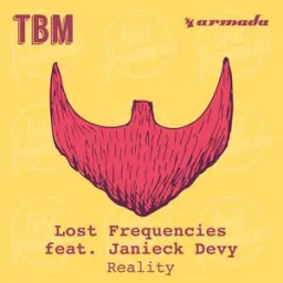Lost Frequencies, Janieck - Reality