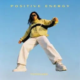 Tensnake - Positive Energy