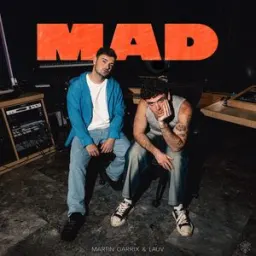 Martin Garrix, Lauv - MAD