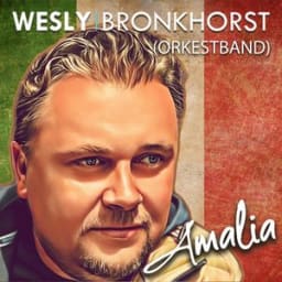Wesly Bronkhorst - Amalia - Orkestband