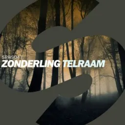Zonderling - Telraam - Radio Edit