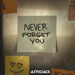 AFROJACK - Never Forget You