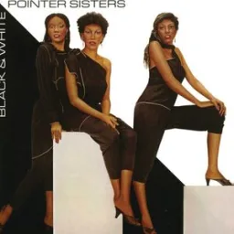 The Pointer Sisters - Slow Hand