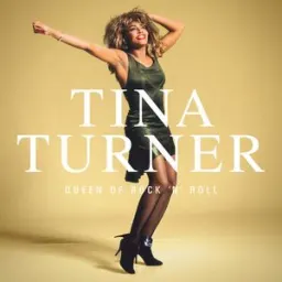 Tina Turner - Private Dancer