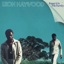 Leon Haywood - Don't Push It Don't Force It