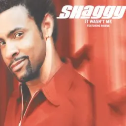 Shaggy - It Wasn't Me