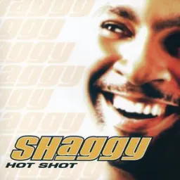 Shaggy, Rayvon - Angel