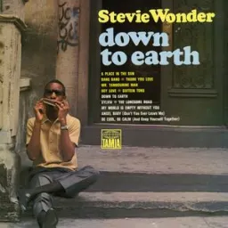 Stevie Wonder - A Place In The Sun