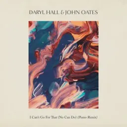Daryl Hall & John Oates, Pomo - I Can't Go for That (No Can Do)