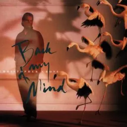 Christopher Cross - I'll Be Alright