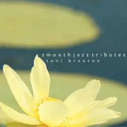 Toni Braxton Smooth Jazz Tribute - Unbreak My Heart