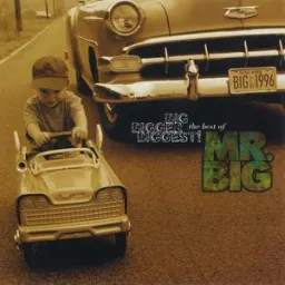 Mr. Big - Wild World