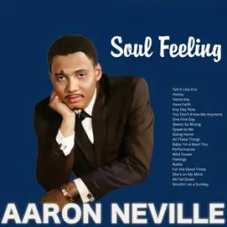 Aaron Neville - Tell It Like It Is