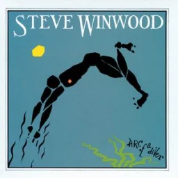 Steve Winwood - While You See A Chance