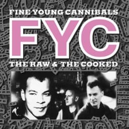 Fine Young Cannibals - She Drives Me Crazy - Remastered