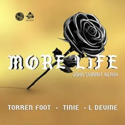 Torren Foot, Tinie Tempah, L Devine, John Summit - More Life (feat. Tinie Tempah & L Devine) - John Summit Remix