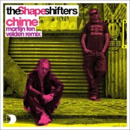 The Shapeshifters - Chime [Martijn Ten Velden Remix]