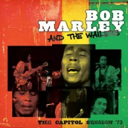 Bob Marley & The Wailers - Stir It Up - Live
