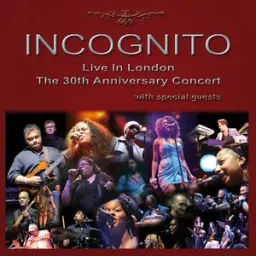 Incognito - Don't You Worry 'Bout A Thing