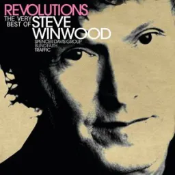 Steve Winwood - While You See A Chance