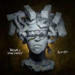 MEDUZA, Dermot Kennedy - Paradise - Guitar Acoustic