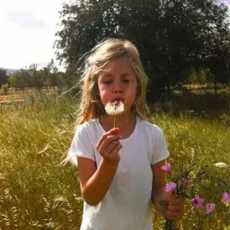 Roxy Dekker - Jouw Idee