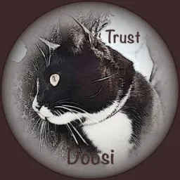 Doosi - Jamas In Heaven