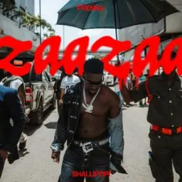 Frenna, Shallipopi - ZAAZAA