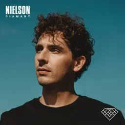 Nielson - IJskoud