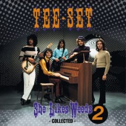 Tee-Set, Peter Tetteroo, Maurice Mouse Bom - She Likes Weeds - remix 1.0