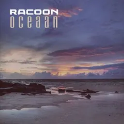 Racoon - Oceaan