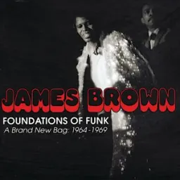 James Brown - Papa's Got A Brand New Bag