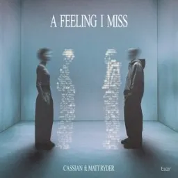 Cassian, Matt Ryder - A Feeling I Miss