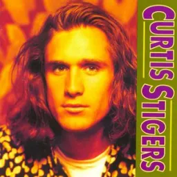Curtis Stigers - I Wonder Why