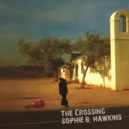 Sophie B. Hawkins - Damn, I Wish I Was Your Lover - Acoustic Version